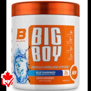 Ballistic Labs Big Boy 24 Servings