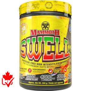 Mammoth Swell 30 Serve