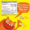 Kids Immune Support with Elderberry - 120 Chewables (60 Servings) - Image 2