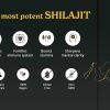 Himalayan Shilajit - 1.06 oz. (75 Servings) - Image 4