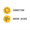 Chemistry Labs™ L-Carnitine (30 Servings) - Image 4