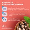Playboy: KSM-66 Ashwagandha - Berry Blast - 60 Gummies (30 Servings) - Image 4