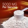 Liposomal Creatine Powder - Unflavored (90 Servings) - Image 5