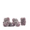 CHAPTER ONE™ Iron Gummies - 60 Gummies (60 Servings) - Image 4