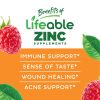 Kids Zinc Gummies - Berry - 60 Count (60 Servings) - Image 3