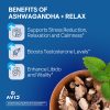 Playboy: Ashwagandha + Relax - Strawberry - 60 Gummies(30 servings) - Image 4