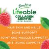 Collagen and Biotin - 60 Gummies (30 Servings) - Image 3