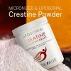 Liposomal Creatine Powder - Unflavored (90 Servings) - Image 4