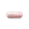 Cranberry Fruit 500MG - 100 Capsules (100 Servings) - Image 3
